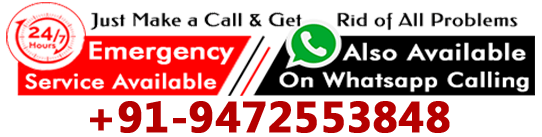 Hindu Astrologer Hindu Astrologer